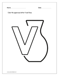 Color the Vase