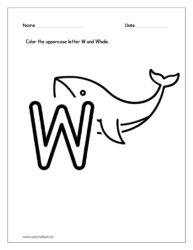 Color the Whale