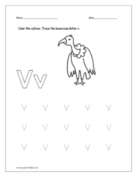 Color the vulture and trace the lowercase letter v.