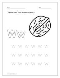 Color the walnut and trace the lowercase letter w.