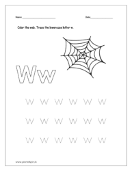 Color the web and trace the lowercase letter w.