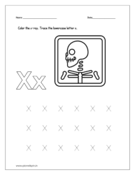 Color the x-ray and trace the lowercase letter x.