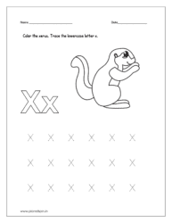 Color the xerus and trace the lowercase letter x.