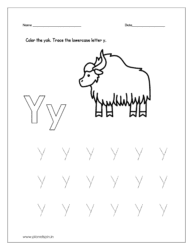Color the yak and trace the lowercase letter y.