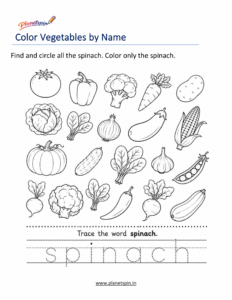 Spinach coloring page for preschool children