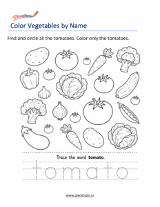 Tomato coloring page with vegetable name