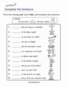 Complete the sentence using the sight word why worksheet