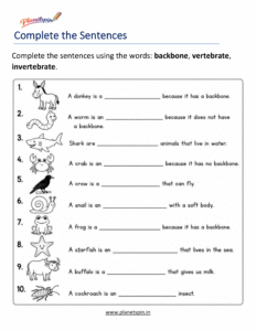 Vertebrates and invertebrates worksheets for Grade 1