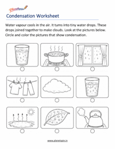 Condensation worksheet for kids