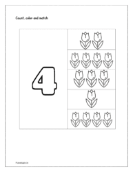 Number 4: Count, color and match the number