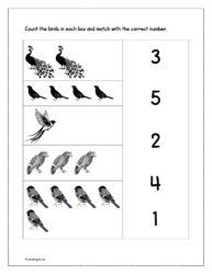 Birds: Count the birds in each box and match with the correct number