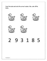 Count the ducks and circle the correct number
