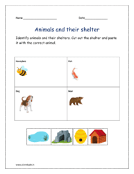 Identify animals and their shelters. Cut out the shelter and paste it with the correct animal.