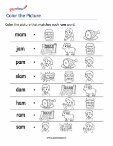 Color the Correct -AM Word Worksheet