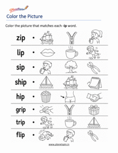 Color the Correct -IP Word Worksheet