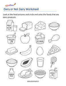 Identify dairy foods worksheet