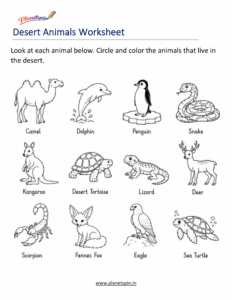 Desert animals habitat worksheet