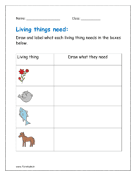 Draw and label what each living thing needs in the boxes below.