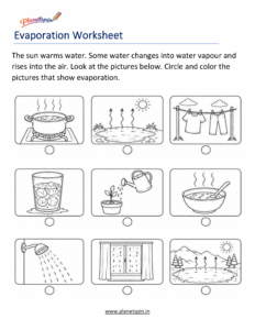 Evaporation worksheet for grade 1