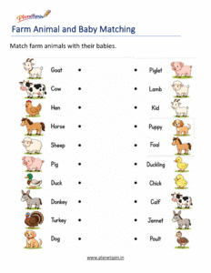 Farm animals and their babies worksheet