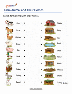 Farm animals and their homes worksheet