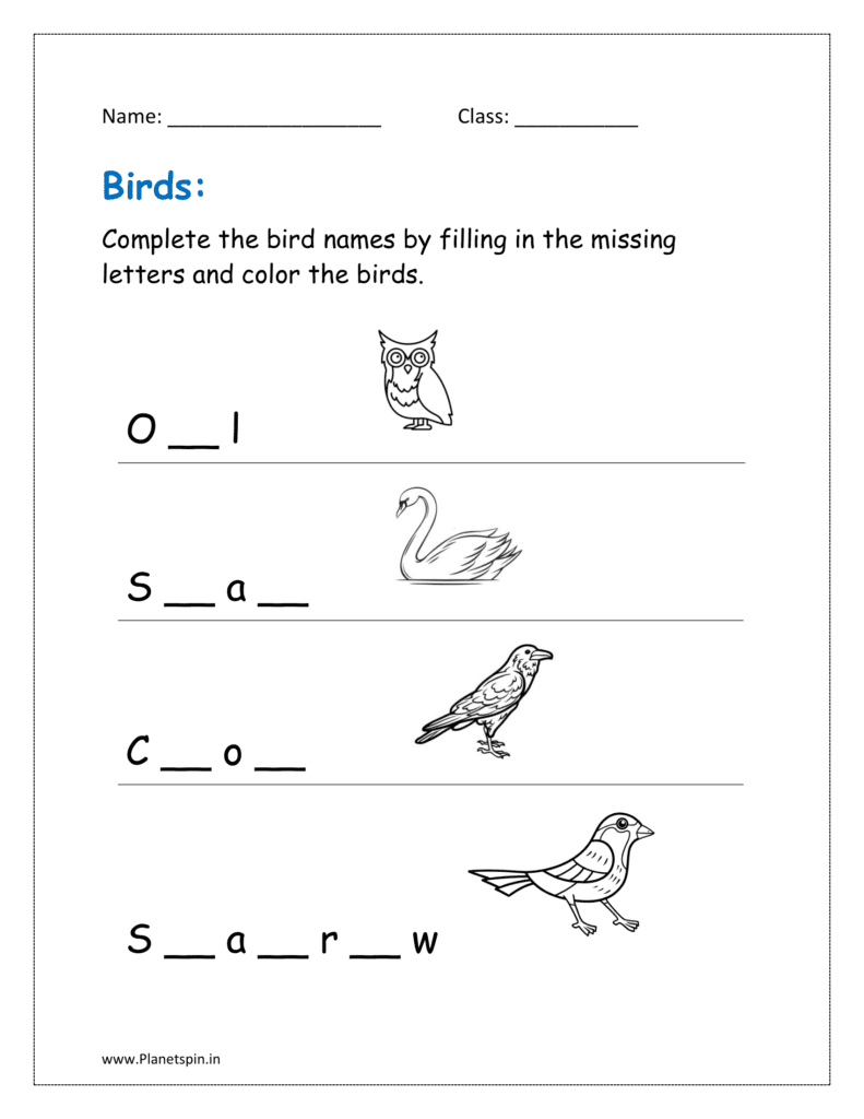 Birds worksheet for kindergarten PDF Planetspin in Birds worksheet for kindergarten PDF Planetspin in