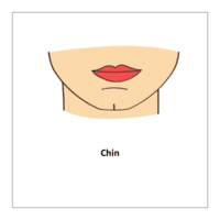  Chin