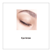  Eye-brow