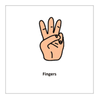 Flash card of body parts: Fingers