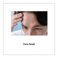Flash card of body parts: Fore-head