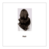 Flash card of body parts: Hair