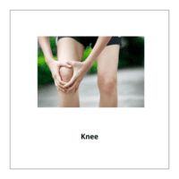 Flash card of body parts: Knee