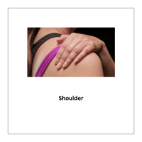 Flash card of body parts: Shoulder