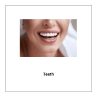 Flash card of body parts: Teeth