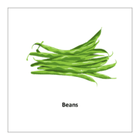  Free printable flashcards of vegetables: Beans
