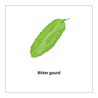 Vegetable flashcards: Bitter gourd