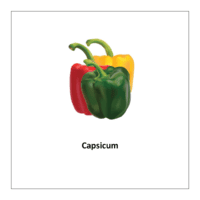 free printable flashcards of vegetables: Capsicum