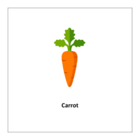 Free printable flashcards of vegetables: Carrot