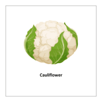 Vegetable flashcards: Cauliflower