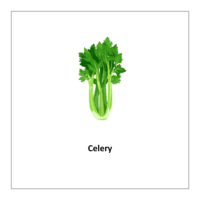 Vegetables flashcards: Celery