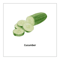 Vegetable flashcards: Cucumber