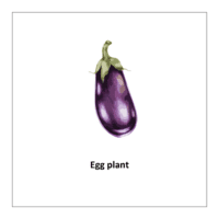  Egg plant