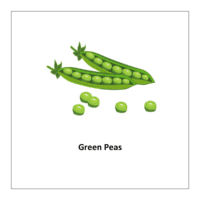 Vegetable list of flashcards: Green peas