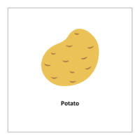 Flash card of vegetables: Potato