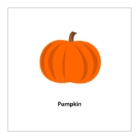 Flash card of vegetables list: Pumpkin