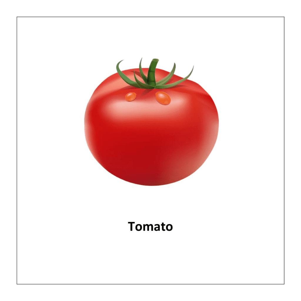 Flash card of vegetables: Tomato