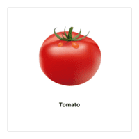 Vegetables flashcards: Tomato