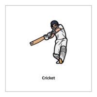 flashcard of Cricket