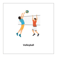 flashcard of Volleyball