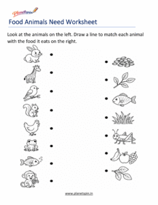 Animal food matching worksheet for grade 1
